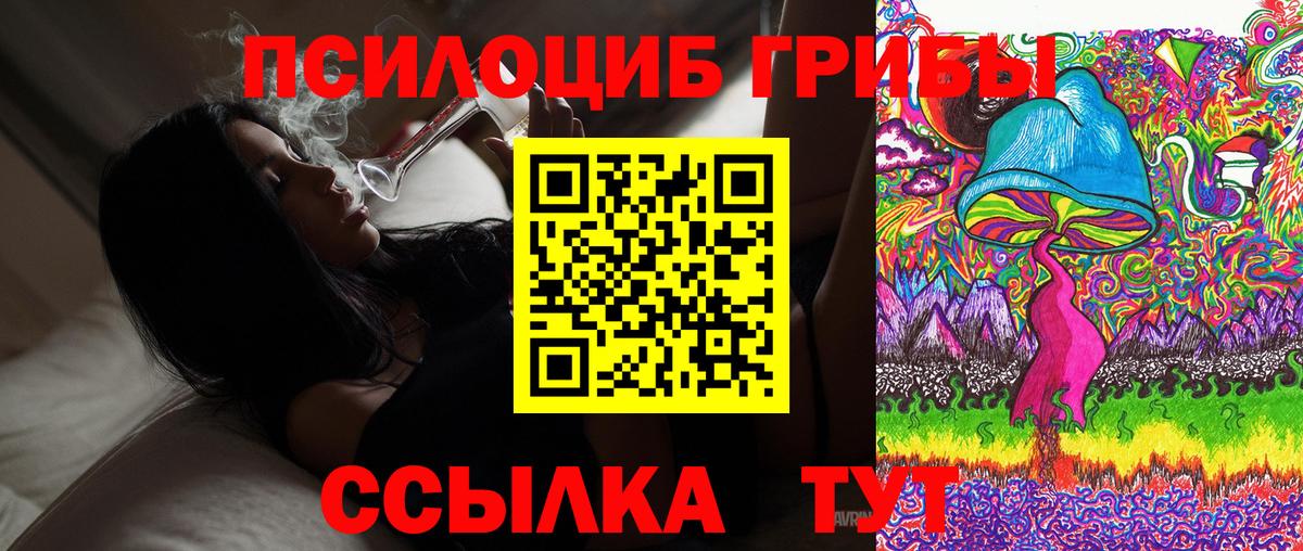 Десногорск  как найти наркотики  Галлюциногенные грибы Cubensis  Вход с VPN  Галлюциногенные грибы GOLDEN TEACHER 