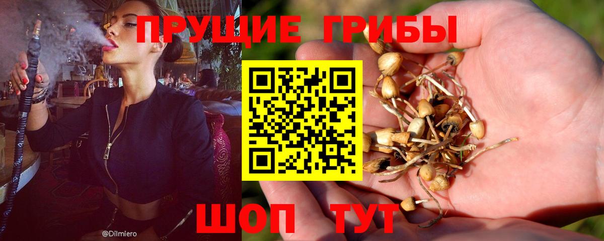 Галлюциногенные грибы прущие грибы Десногорск